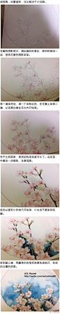 步骤详细的花卉水彩教程，分分钟学会！作者：羽_Rachel