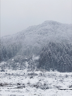 Umganil采集到气氛，灵感