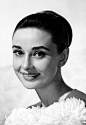 Audrey Hepburn 