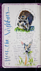 The Sketchbook Project: Pam Brickell... you can page through a lovely nature journal sketchbook.: 