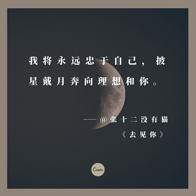 网易云音乐的乐评，我的文案灵感来源 : ...