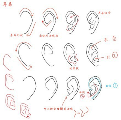 玩火尿炕采集到§R教学 —— 耳、鼻、口