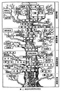 云儿朵朵采集到营销