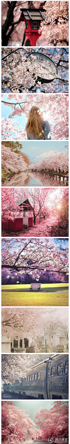 朝紅顏、暮枯骨☀采集到日式