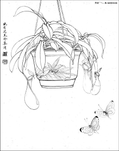 花精萍采集到白描人物及其他