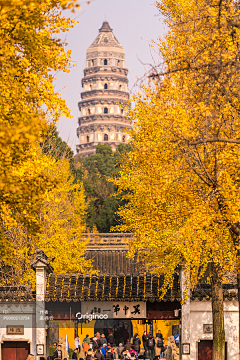 xiaonemo采集到建筑艺术