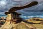  "King of Wings", San Juan Basin, New Mexico Badlands.