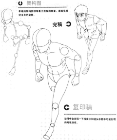 无影歌采集到人体结构透视教程