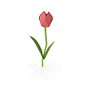 Low Poly Tulip Object