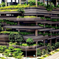 建筑设计·垂直绿化