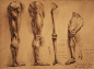 human anatomy 24 by ivany86 on deviantART