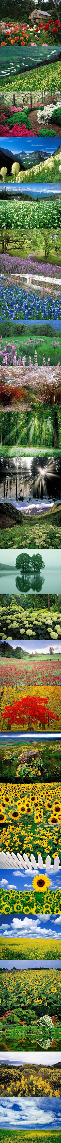 枪法精湛采集到嗯，好笑。