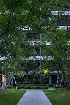 蓝瑟丿枫采集到植物种植