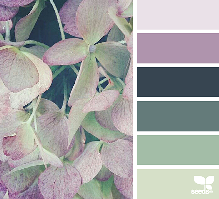 flora hues