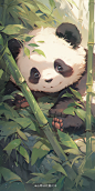 可爱动物-熊猫1