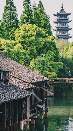 烟雨兰花采集到烟雨江南