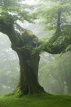 真红之矩采集到奇幻场景