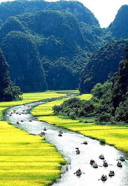 三谷碧洞，越南