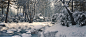 Winter Scene prt. 2, Rob Wildenburg : As you may have noticed already i'm in a winter mood, so I used the same project from my previous render but with a different camera view and atmosphere. I added some more trees and the water isn't frozen anymore this