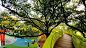 “长着两只大眼睛的公园” - 休斯顿Levy公园 by OJB-mooool设计