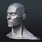 人体肌肉-3D解剖-绘画参考-928295