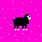 Star Sheep : Happy New Year!