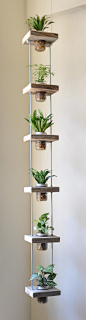 Vertical garden or hanging planter