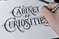 Hand Lettering III : Collection of hand lettered logotypes and quotes. 2014