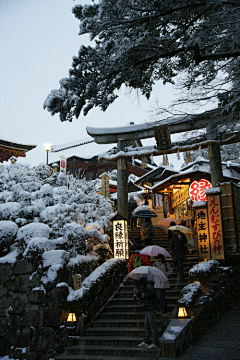 _11117采集到国风古风日风<纹样素材>