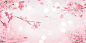 1920京东天猫高清樱花粉色背景图 海报背景 轮播素材 @♥⺌恋蝶︶ㄣ设计