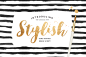 Stylish Brush with Bonus - Fonts - 1