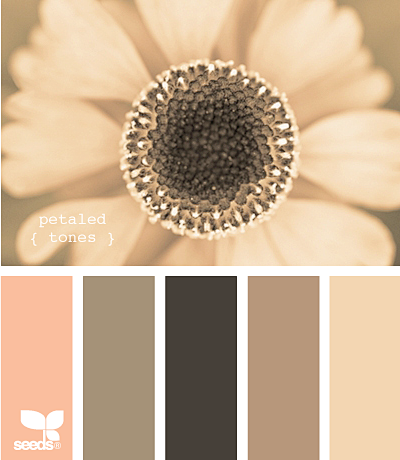 petaled tones