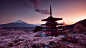 一般1920x1080富士山日本樱花粉红色天空亚洲建筑树雪峰云日落