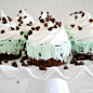 Ice cream cupcakes!