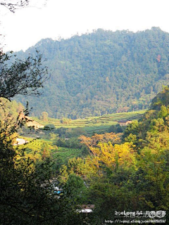 flyinrain采集到行驶在武夷山青龙大瀑