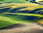 Project #10 The Palouse : Aerial obliques shot out of the side of a Cessna Grand Caravan of the wheat fields outside of Pullman Washington. 