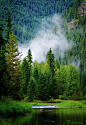 The North Fork on the Coeur d'Alene River in the Panhandle National Forest. #美景# #摄影师#