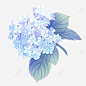 手繪風格藍紫繡球花, 繡球, 繡球, 婚禮 PNG圖案素材