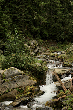 莉啊采集到山水