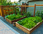 Garden Design Ideas, Renovations & Photos with with a Vegetable Patch