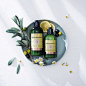 L'OCCITANE en Provence | 日本公式 (@loccitane_jp)'s Instagram Profile | Tofo.me · Instagram网页版