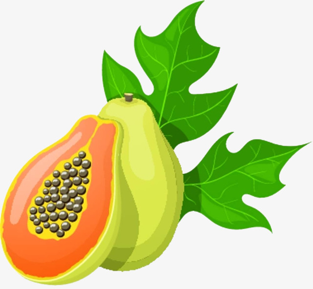 533bee5d5a62fb81ad93c05142e99096fa307b8f2f3b4-ALanF5