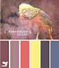 feathered color