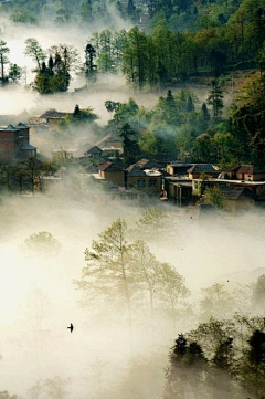 鱼忆采集到漂亮的风景照片