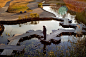 Some day when our boardwalk in our wetlands gives out...this is what I want to replace it. "Anjo, Japan"