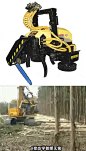 树木终结者集砍树，剥皮和截段等功能一体的机械头！现代机械真凶猛#GIF#(3.1MB)