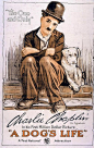 A Dog's Life 11 x 17 Movie Poster , Charles Chaplin