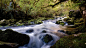 自然森林小溪流水风景壁纸_360图片