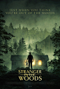 Extra Large Movie Poster Image for Stranger in the Woods 