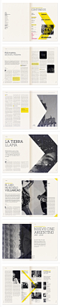 layout / REVISTA DALE